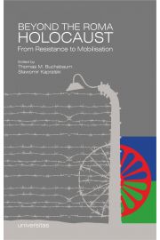eBook Beyond the Roma Holocaust From Resistance to Mobilisation pdf