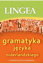 eBook Gramatyka jzyka niderlandzkiego z praktycznymi przykadami pdf mobi epub
