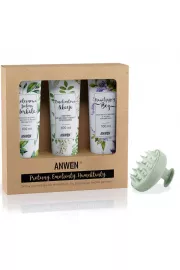 Anwen Zestaw odywek do wosw o niskiej porowatoci + Mohani Szczotka do mycia wosw i masau gowy 3 x 100 ml