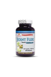 Sewanti Suplement diety Joint Flex 450 mg 90 kaps.