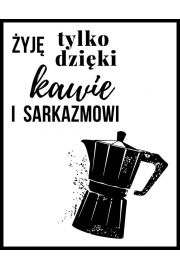 Sarkazm - plakat 70x100 cm