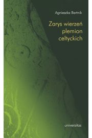 eBook Zarys wierzeń plemion celtyckich pdf