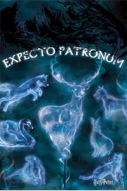 Harry Potter Patronus - plakat 61x91,5 cm