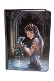 Notes Wodny smok Anne Stokes