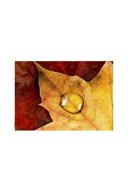 Jesiennie - kropla na liciu - plakat premium 80x60 cm