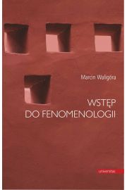 eBook Wstp do fenomenologii pdf