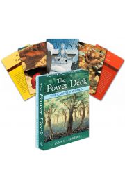 The Power Deck, karty do wrenia