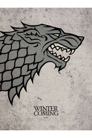Gra o Tron - Game of Thrones Stark - plakat premium 60x80 cm