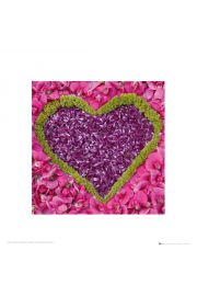 Serce - Madalene's Hearts - plakat premium 40x40 cm
