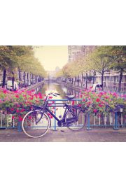 Amsterdam Wiosn Rower wrd Kwiatw - plakat 59,4x84,1 cm