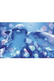 Lassen - Pocaunek Delfinw - plakat 91,5x61 cm