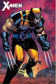 X-Men Wolverine - plakat 61x91,5 cm