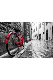 Czerwony rower - plakat 91,5x61 cm