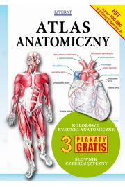 eBook Atlas anatomiczny pdf