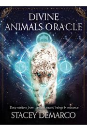 Divine Animals Oracle, karty