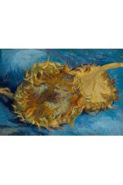 Sunflowers, Vincent van Gogh - plakat 70x50 cm