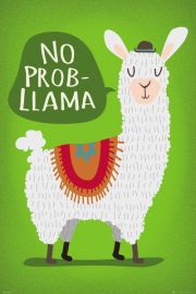 Llama No Probllama - plakat 61x91,5 cm