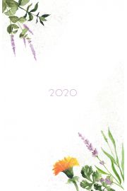 Kalendarz 2020. Zielnik