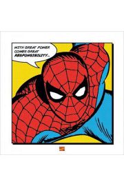 Spider-man With Great Power - plakat premium 40x40 cm