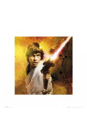 Gwiezdne Wojny Star Wars luke splatter - plakat premium 40x40 cm