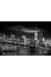 Nowy Jork Wiea Wolnoci Noc - plakat 50x40 cm