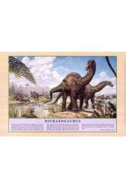 Dinozaury - Dikreozaur - plakat 91,5x61 cm
