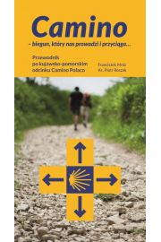 eBook Camino – biegun, ktry nas prowadzi i przyciga... Przewodnik po kujawsko-pomorskim odcinku Camino Polaco pdf