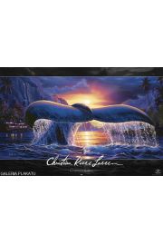 Lassen - Petwa Wieloryba - plakat 91,5x61 cm
