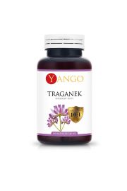 Yango Traganek - ekstrakt 10:1 Suplement diety 100 kaps.