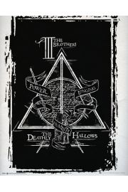 Harry Potter i Insygnia mierci - plakat 40x50 cm