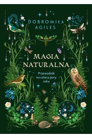 eBook Magia naturalna. Przewodnik na cztery pory roku mobi epub