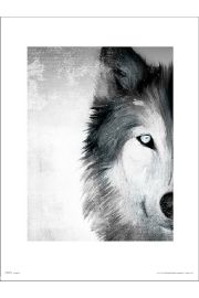 Wolf Paint - plakat premium 40x50 cm