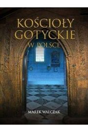 Kocioy gotyckie w Polsce