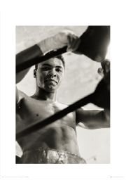 Muhammad Ali Ropes - plakat premium 60x80 cm