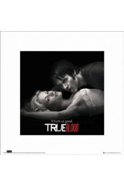 True Blood Czysta Krew - plakat premium 40x40 cm