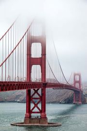 San Francisco Golden Gate - plakat 50x70 cm