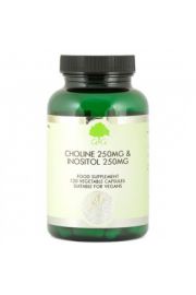 G&g Cholina i Inozytol - suplement diety 120 kaps.