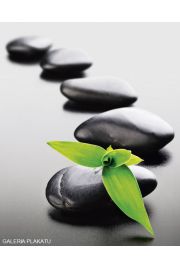 Zen Stones Green - plakat 40x50 cm