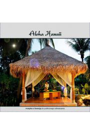 Aloha Hawaii CD - Pawe Lemiesiewicz