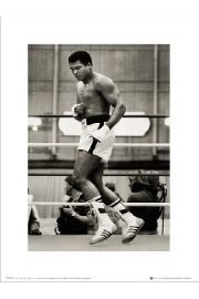 Muhammad Ali Float - plakat premium 30x40 cm