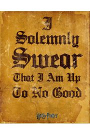 Harry Potter I Solomnly Swear - plakat 40x50 cm