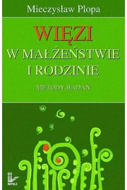 eBook Wizi w maestwie i rodzinie. Metody bada pdf