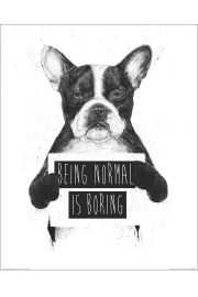 Being Normal is Boring - plakat premium 40x50 cm
