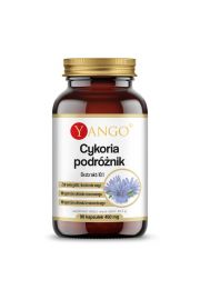 Yango Cykoria podrnik - ekstrakt Suplement diety 90 kaps.