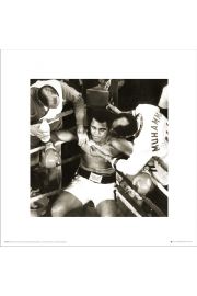 Muhammad Ali Ring Corner - plakat premium