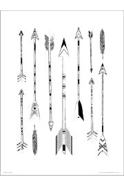 Arrows Feathers - plakat premium 30x40 cm