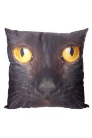 Poduszka 50 x 50cm - Czarny kot
