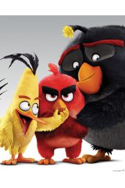 Angry Birds Bohaterowie - plakat 40x50 cm