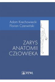 eBook Zarys anatomii czowieka mobi epub