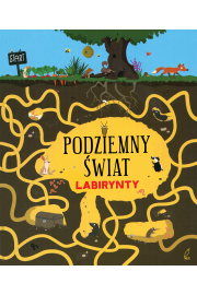 Podziemny świat labirynty